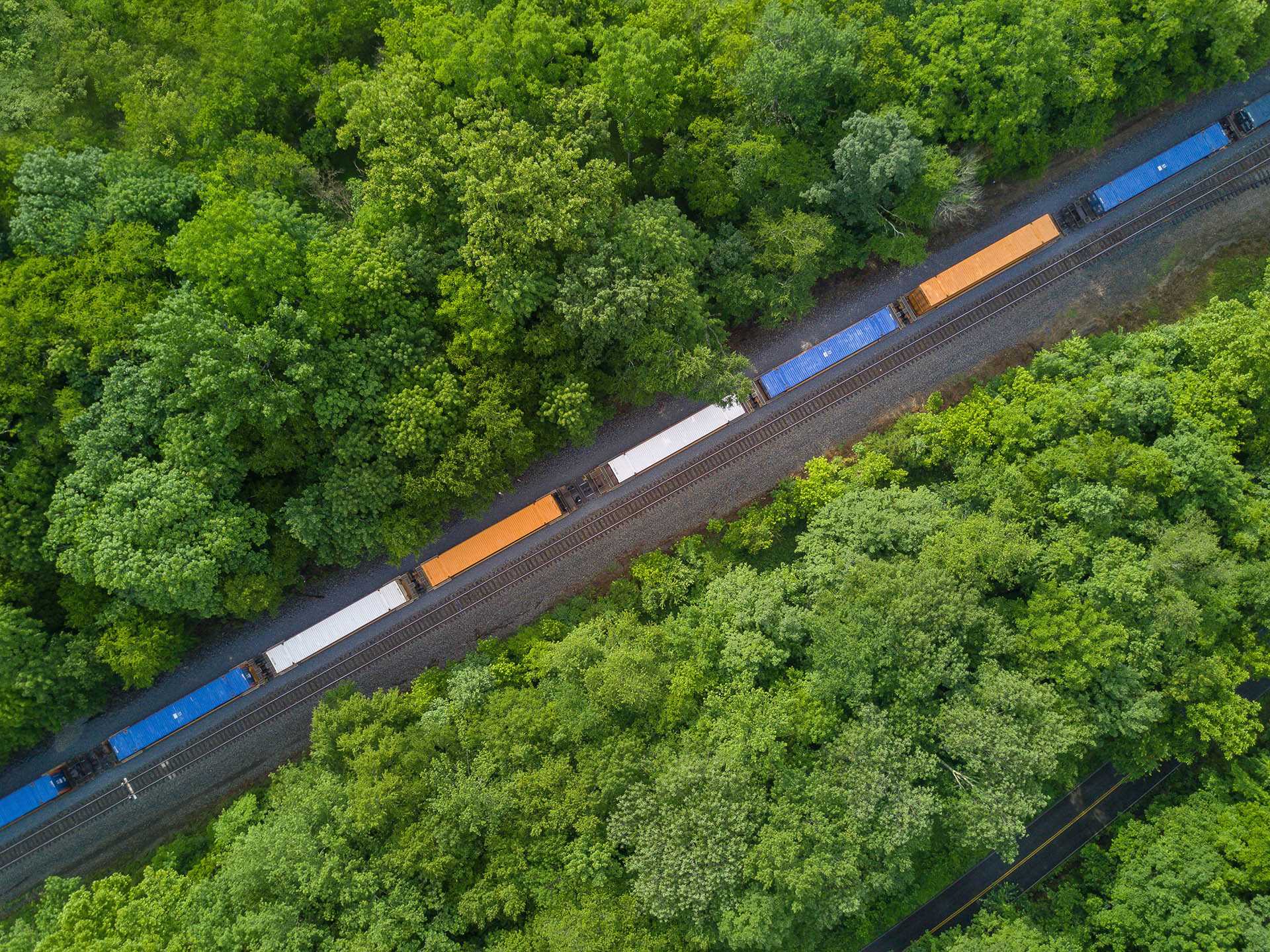 Güterzug rollt durch den Wald