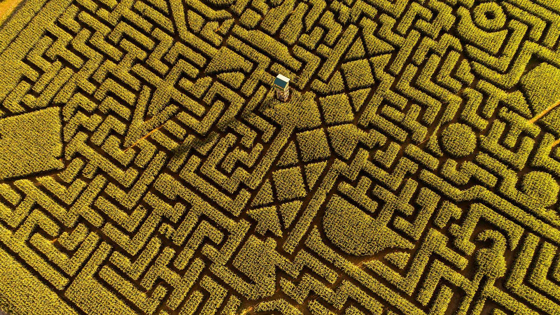 Mais-Labyrinth von oben