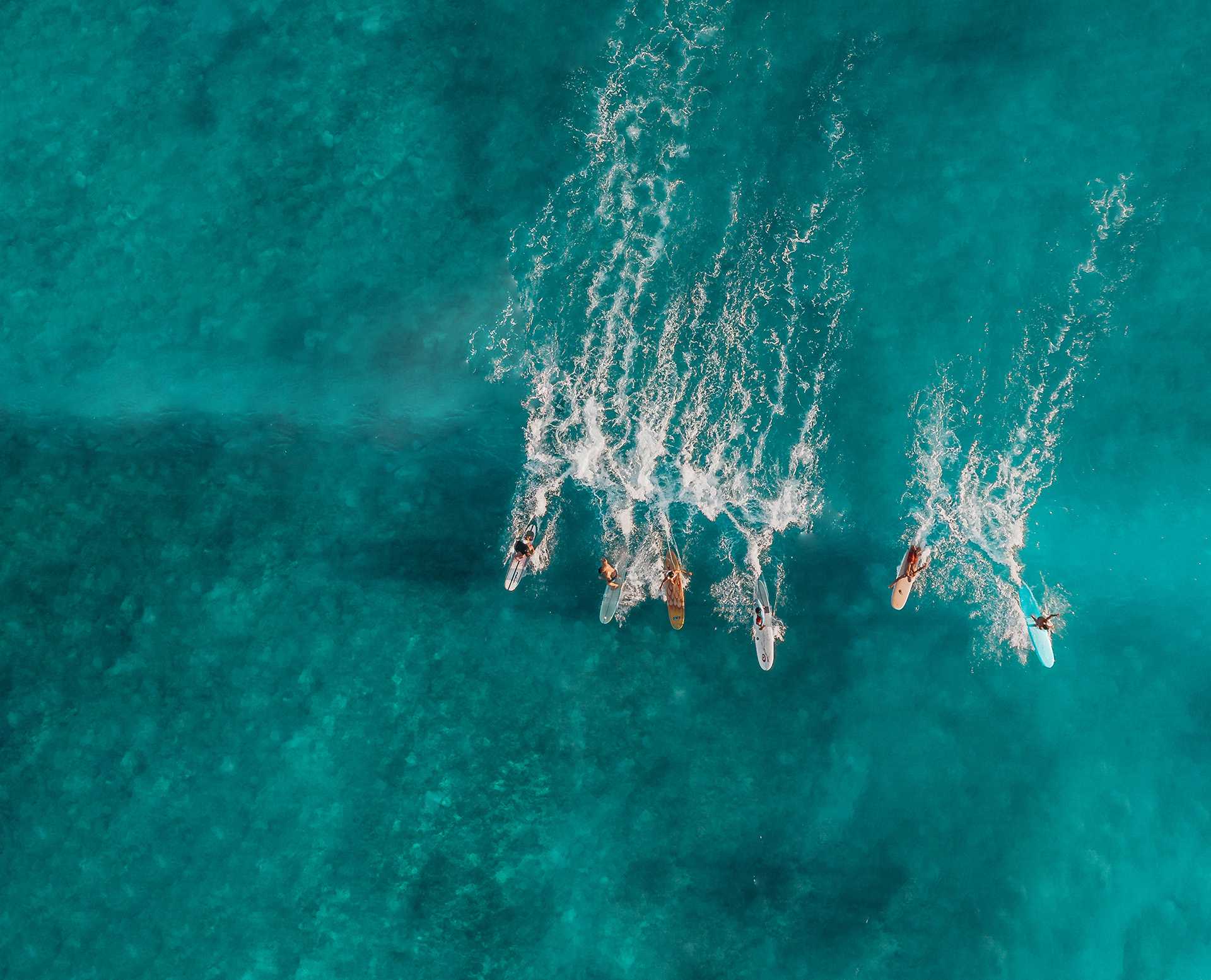 Team surfs together on a wave